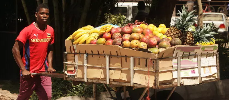 USAID AgriFUTURO