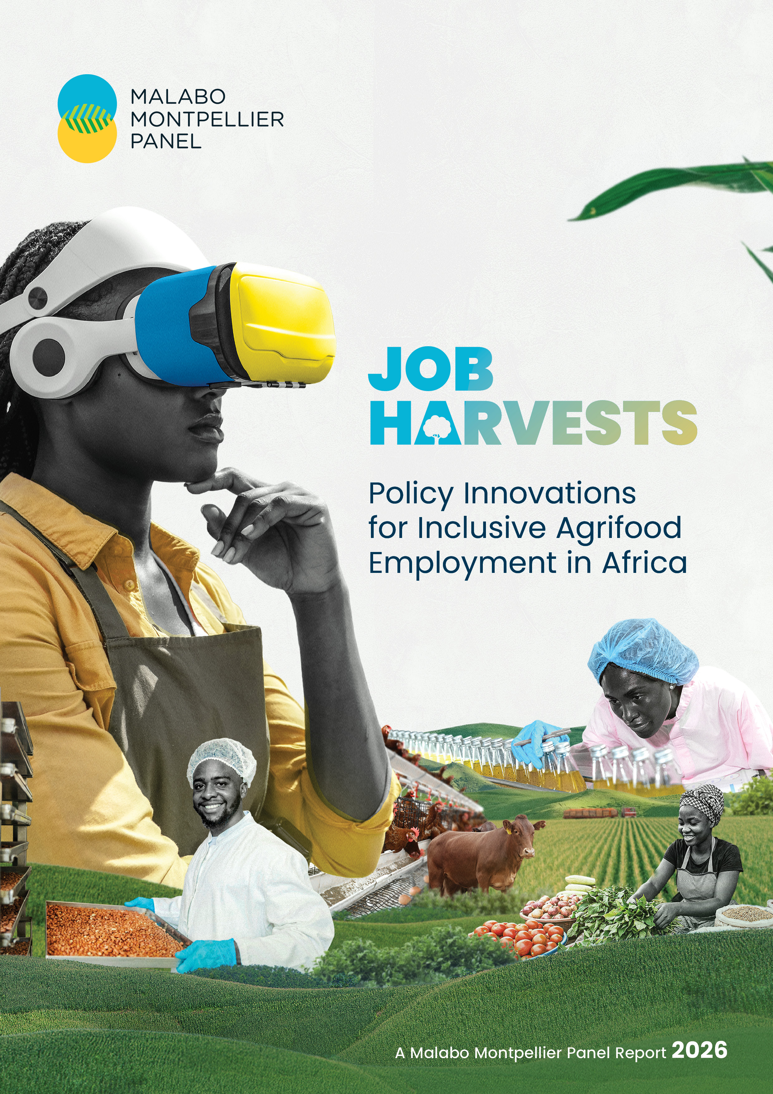 Job Harvest - Policy Innovations for inclusive Agrifood Employment in Africa